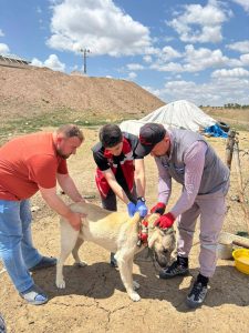 Kayıt yaptırmayan ve terk edenlere ağır ceza