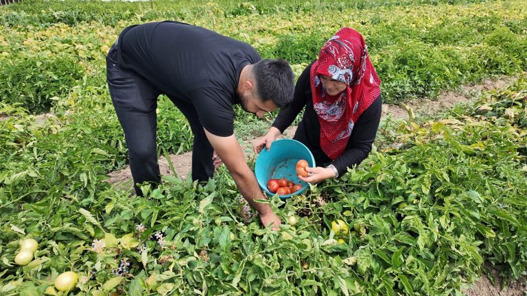 Hobi bahçesiyle başladı ailenin geçim kapısı oldu