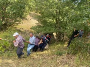 Dereye düşen büyükbaş hayvan kurtarıldı