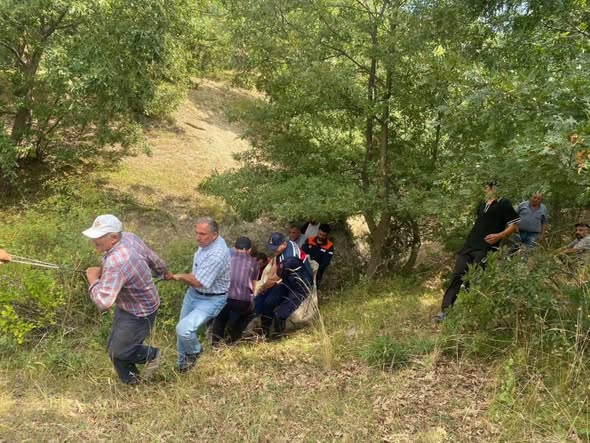 Dereye düşen büyükbaş hayvan kurtarıldı