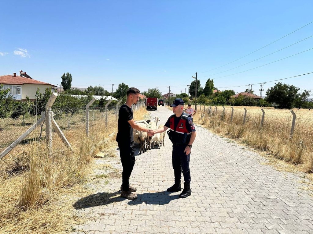 Kayıp küçükbaş hayvanlar sahibine teslim edildi
