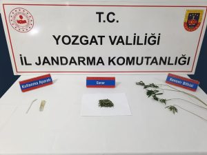 Kamu arazisine ekilen kenevirler ele geçirildi