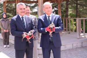 Polat’tan Yozgat’ta tarım, orman ve hayvancılık mesaisi