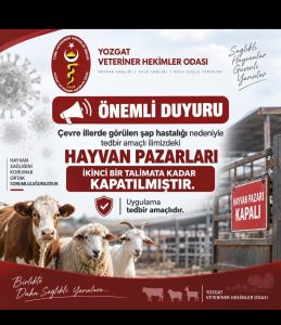 Şap hastalığına karşı hayvan pazarları kapatıldı