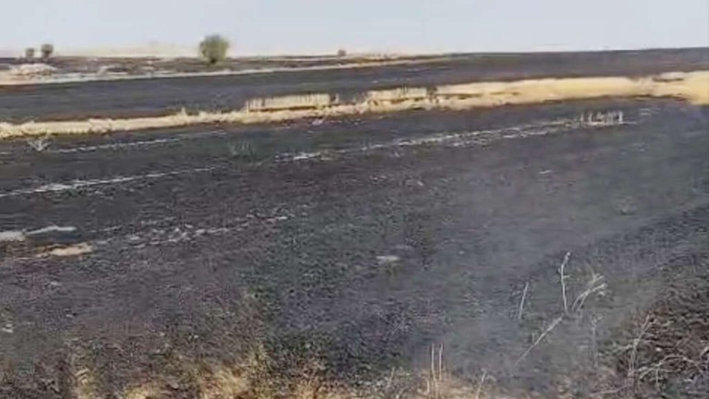 Tarlayı yakan kişiye idari para cezası