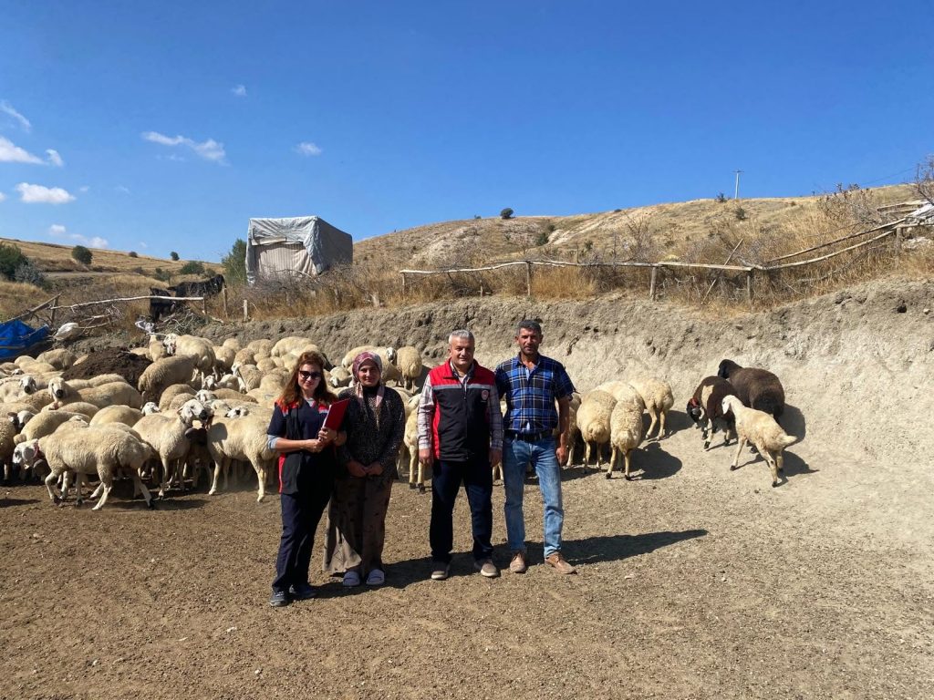 Yozgat’ta 56 üreticiye küçükbaş desteği