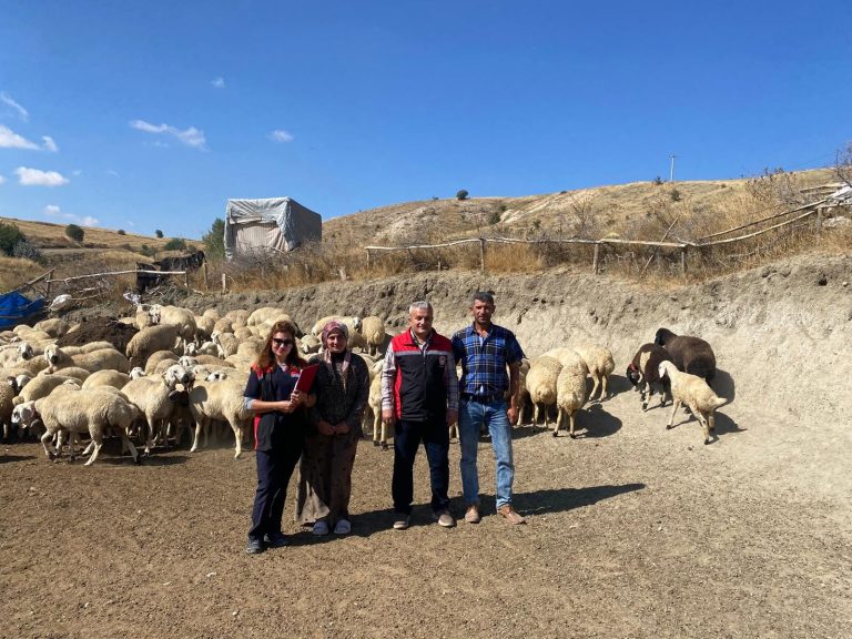 Yozgat’ta 56 üreticiye küçükbaş desteği
