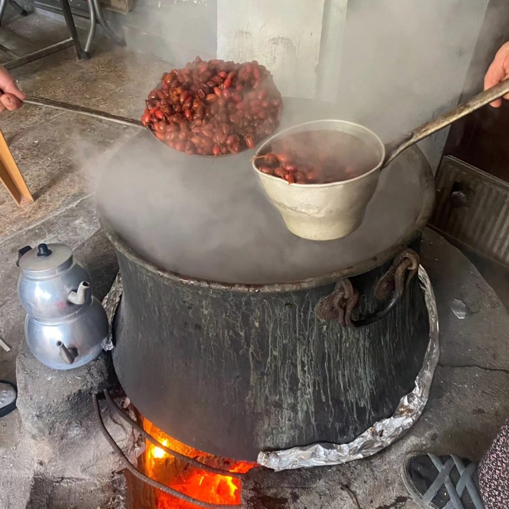 “Dağdan sofraya kadın eli”