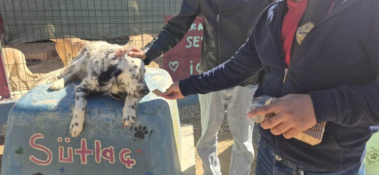 Yozgat’ta patili dostlarla anlamlı buluşma