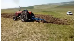 Tarlasını ekmezse başkasına kiralanacak!